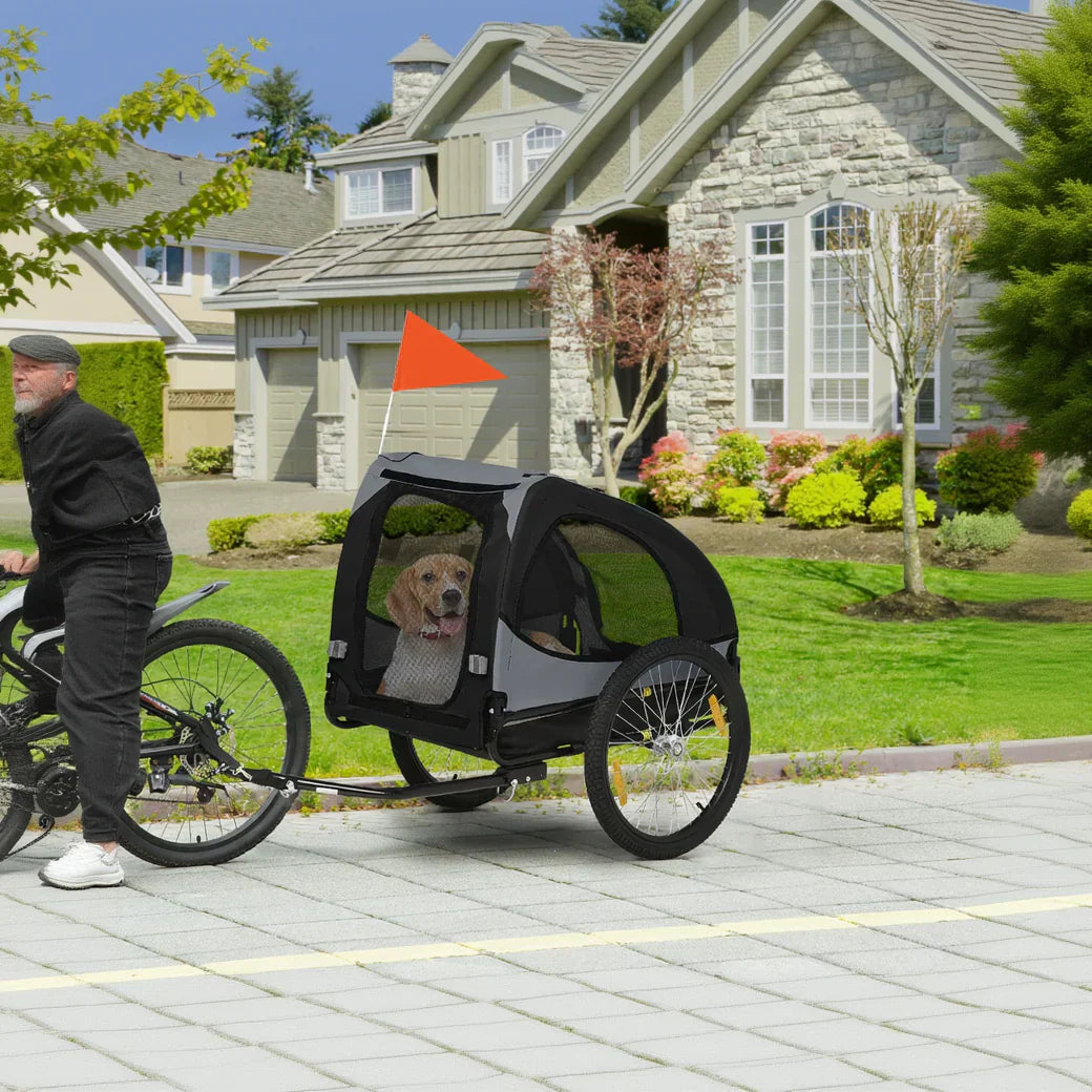 motivi per usare un rimorchio bici per il tuo cane