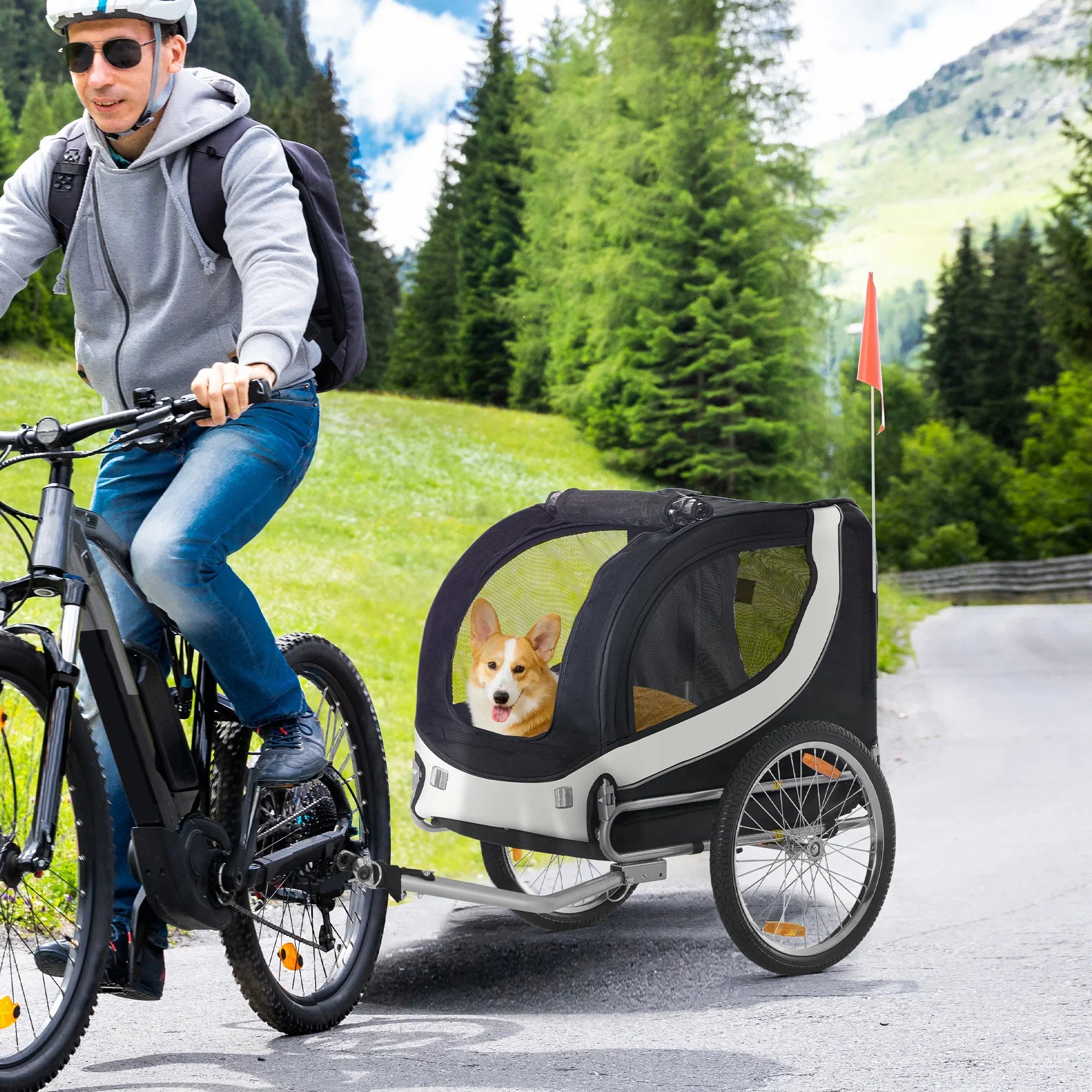 DogRide Collection – Rimorchi Bici per Cani
