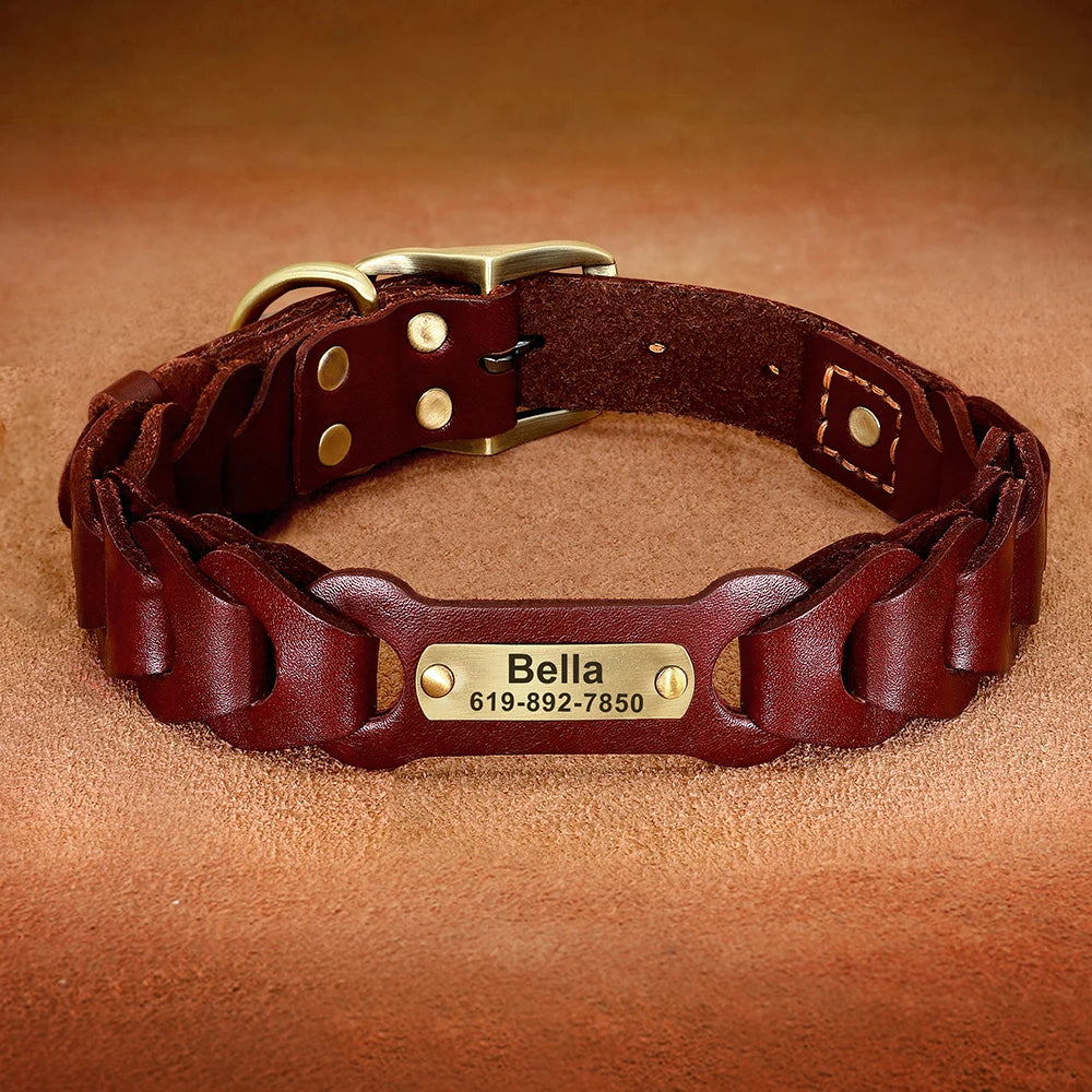 Genuine  Dog Collar Personalized Pet ID