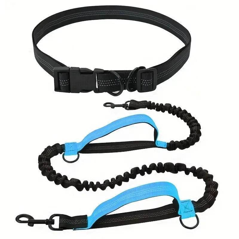 Hands Free Dog Leash