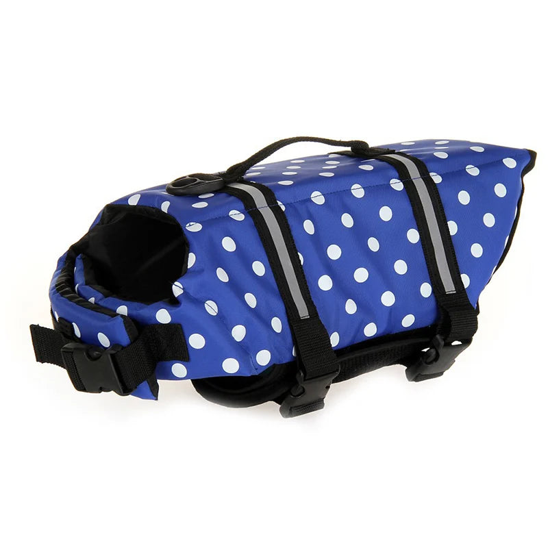 Seaside Big Dog Swimming Life