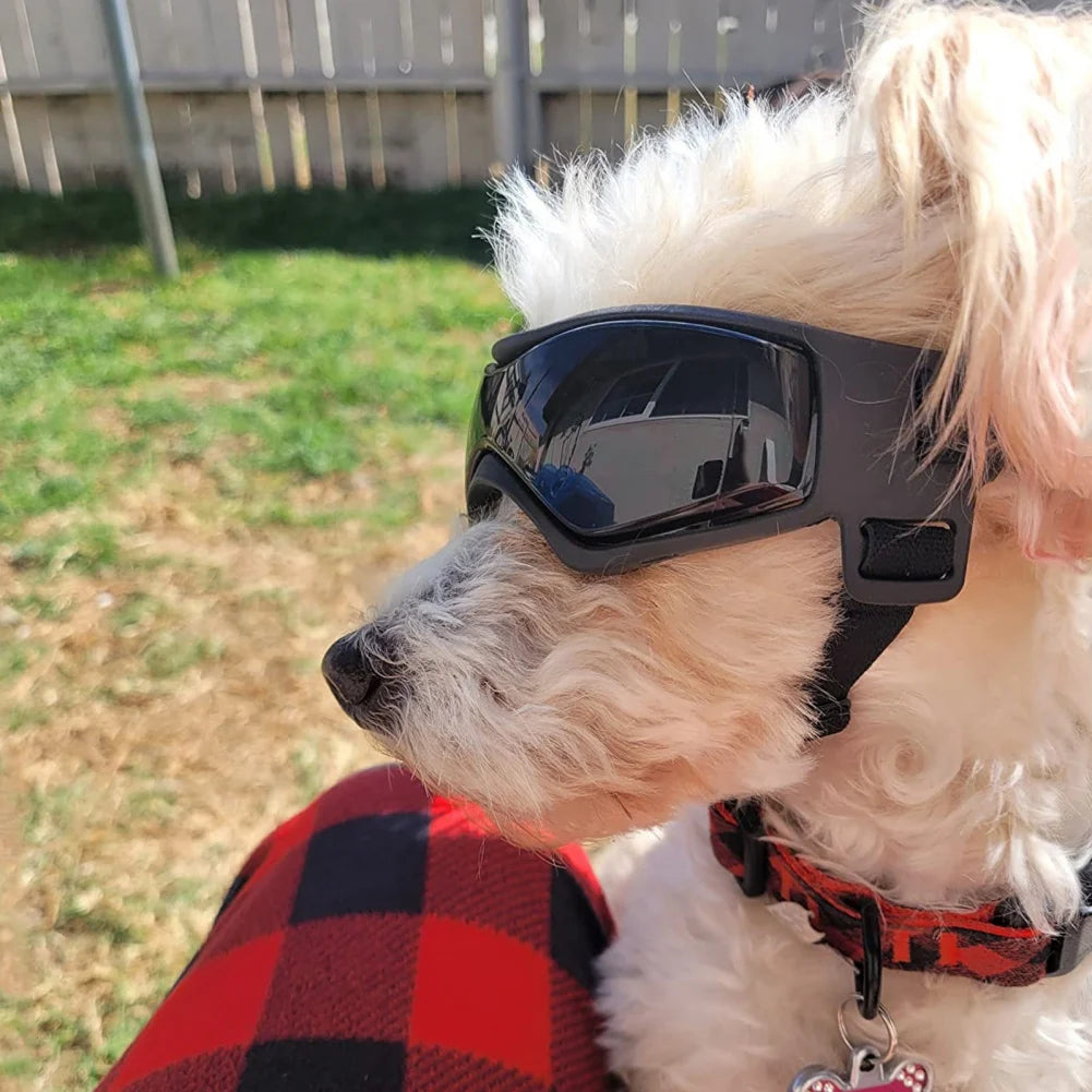 Pet  Outdoor  Protection Sunglasses
