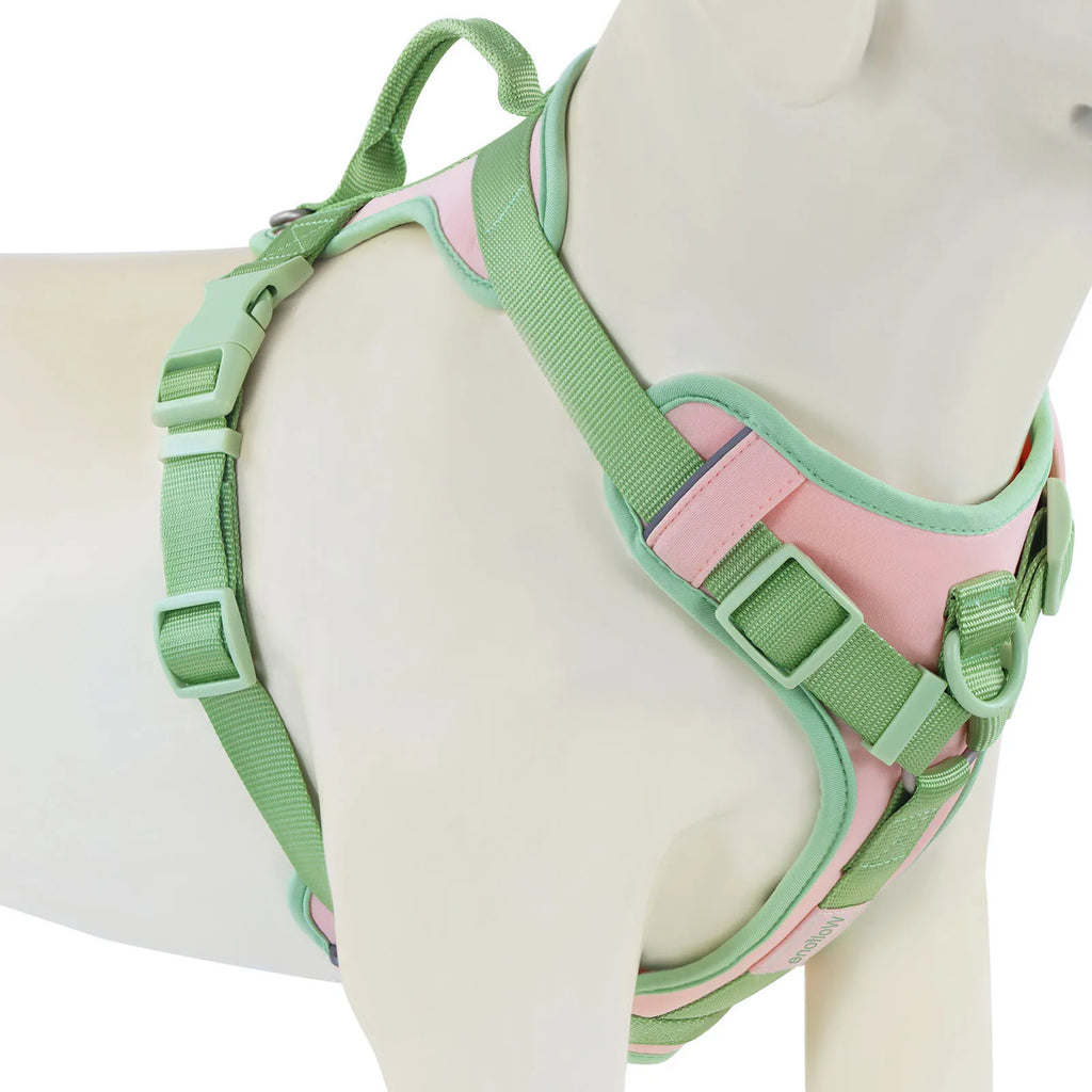 New Chocolate color luxury Dog Harness