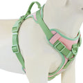 New Chocolate color luxury Dog Harness