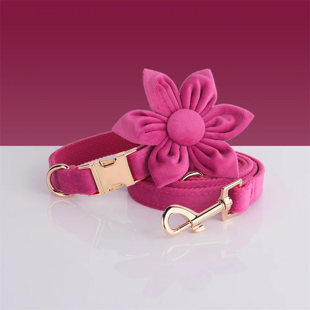 Fuchsia Velvet Personalized Dog Collar