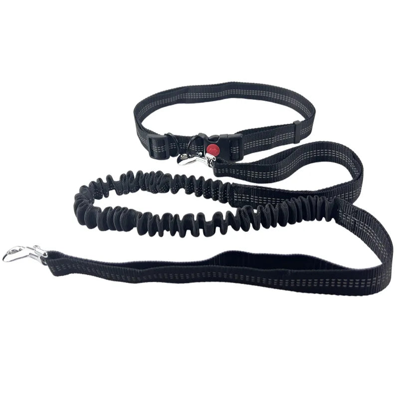 Hand Free Dog Leash  Running