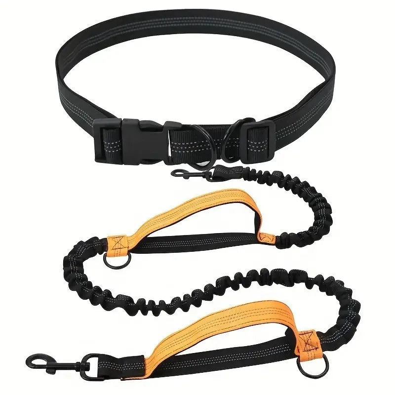 Hands Free Dog Leash
