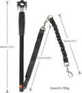 Dog Bicycle Exerciser Leash