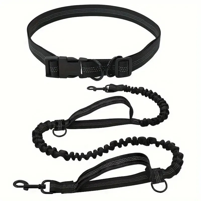 Hands Free Dog Leash