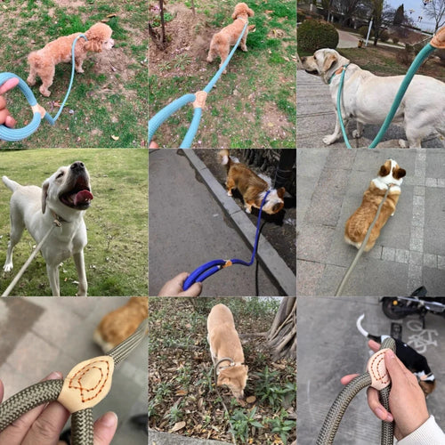 1.5M/1.8M Dog Leash