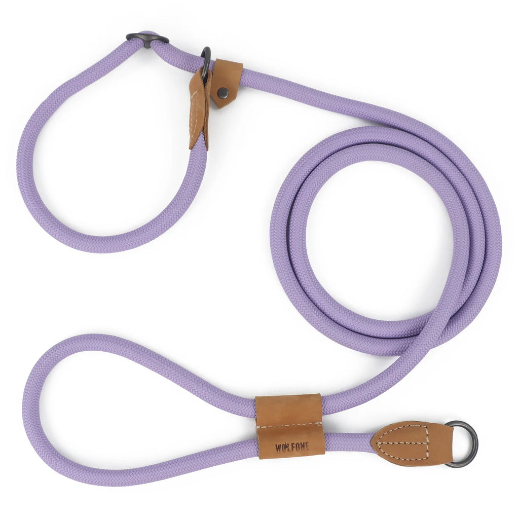 Multi-functional adjustable P-shape dog leash