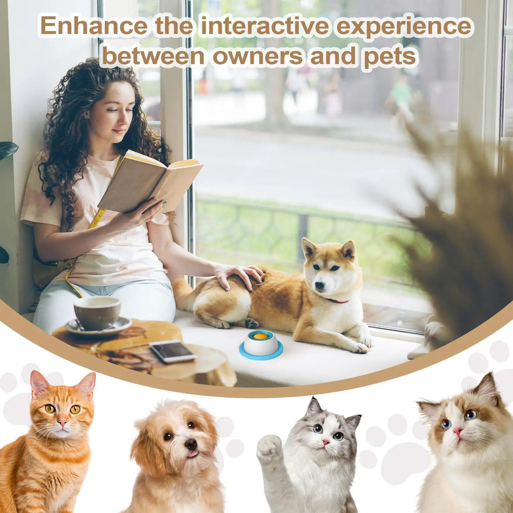 Pet Feeding Accessories Dog Treat