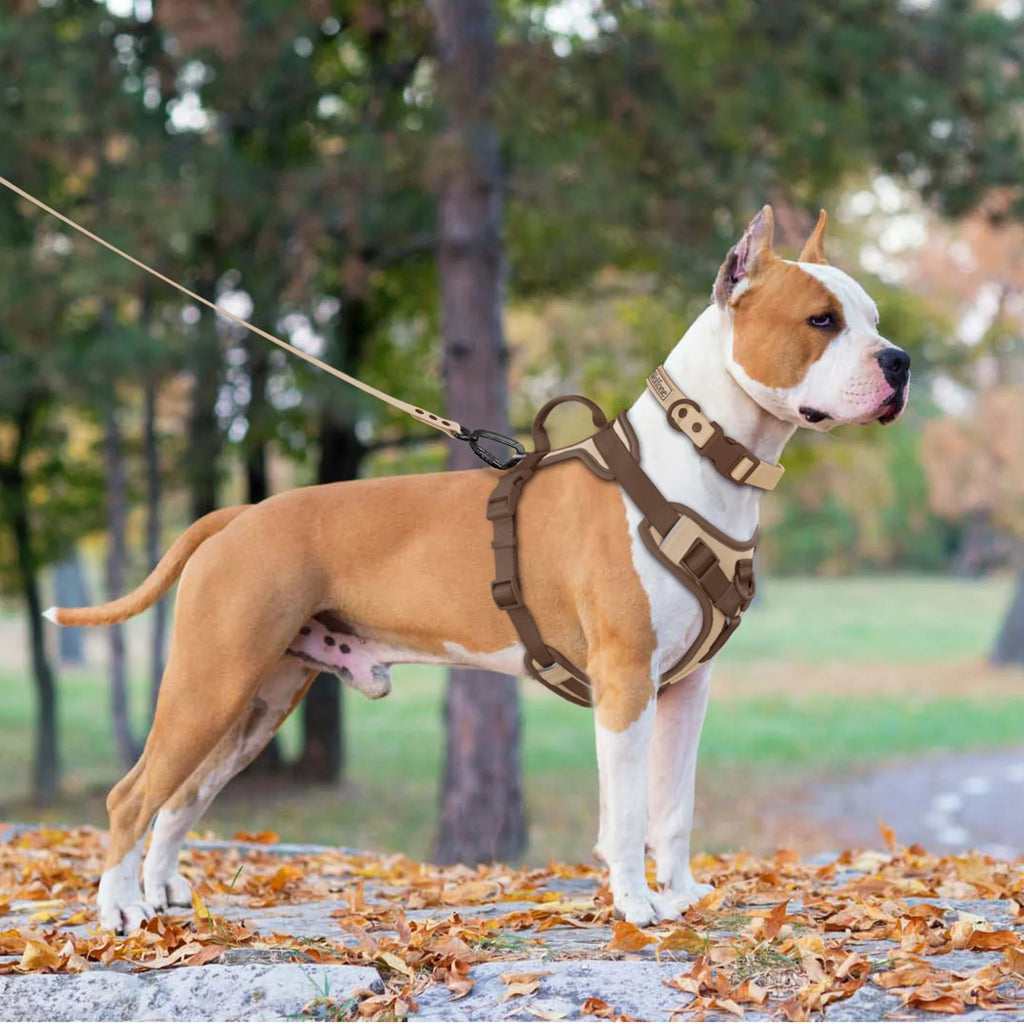 New Chocolate color luxury Dog Harness