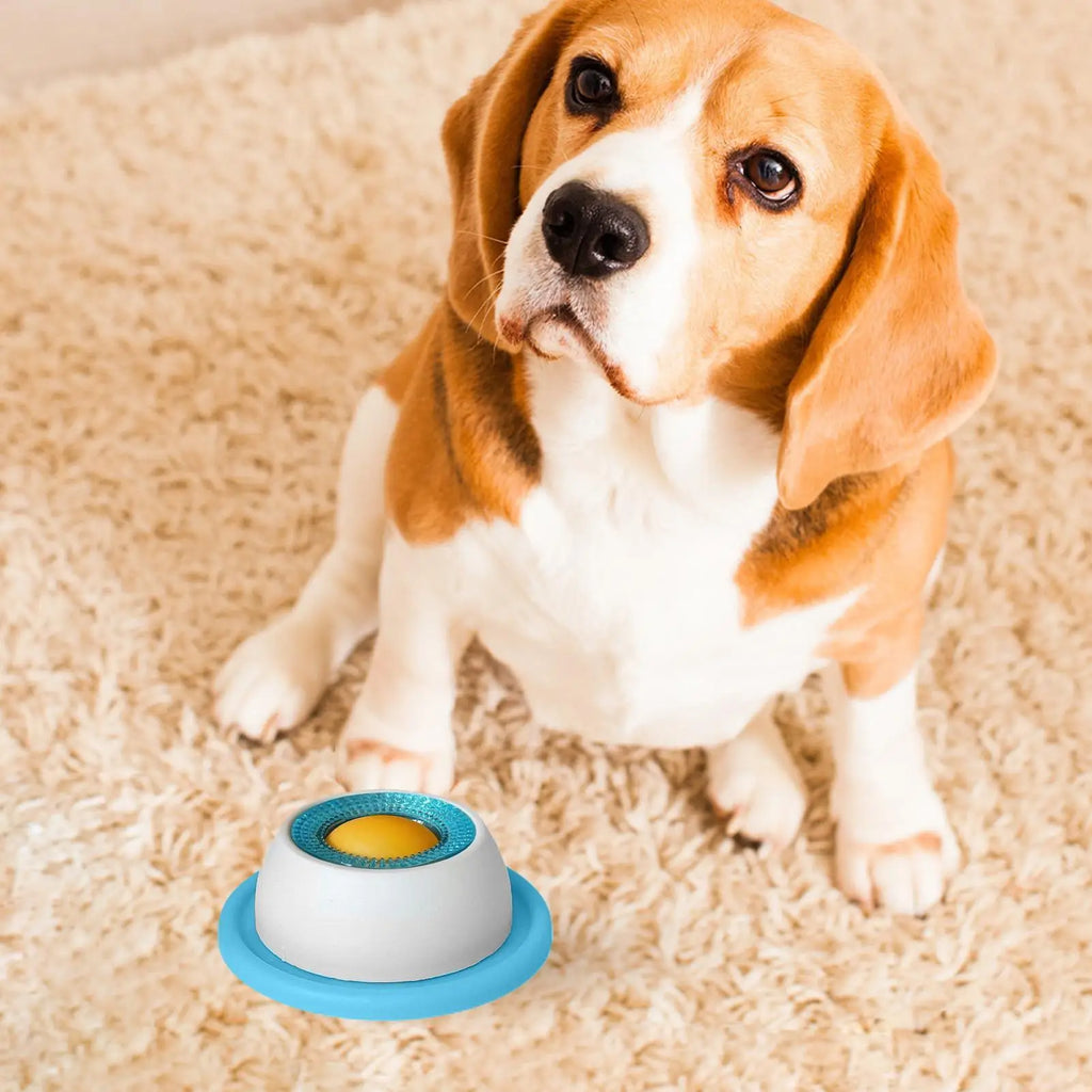 Pet Feeding Accessories Dog Treat