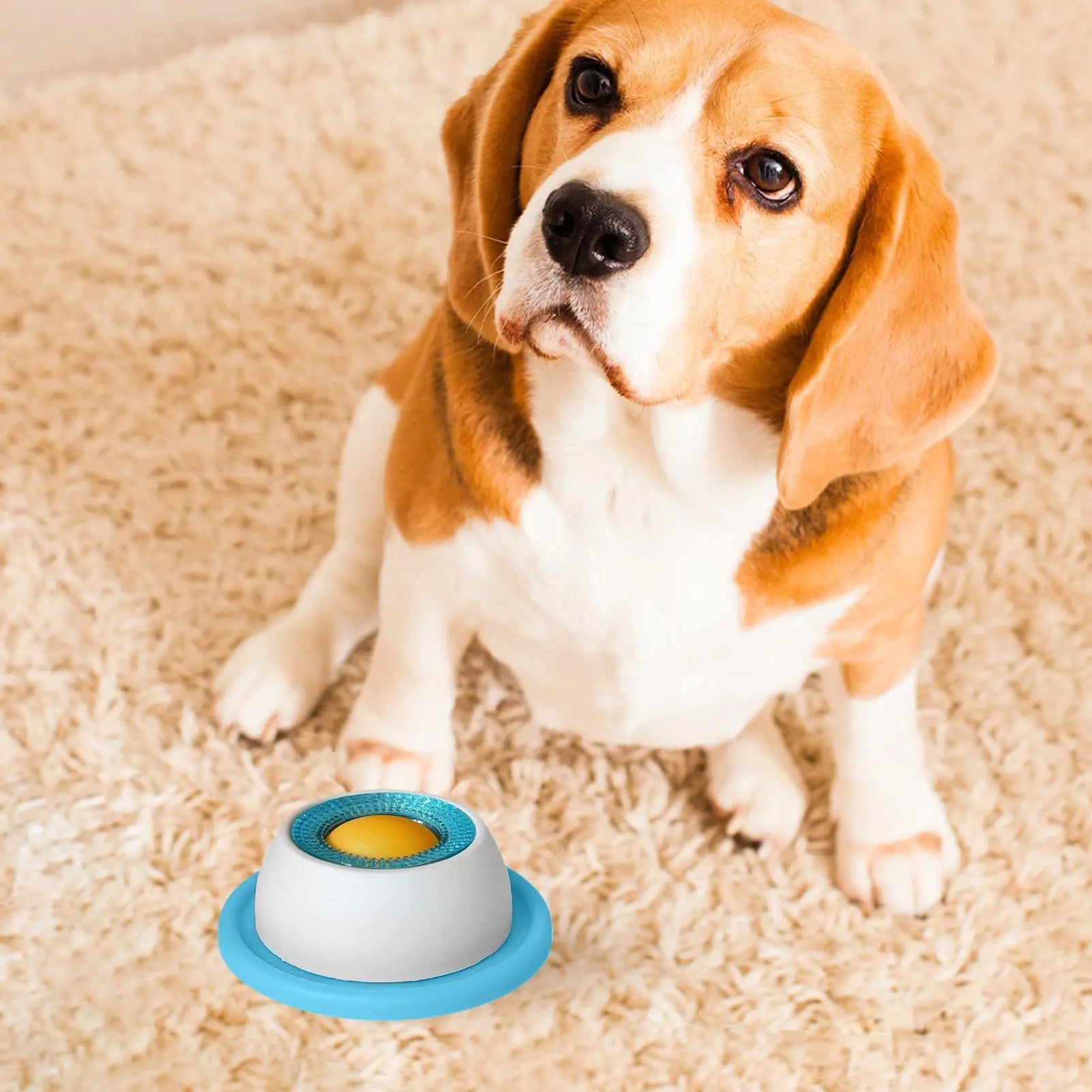 Pet Feeding Accessories Dog Treat