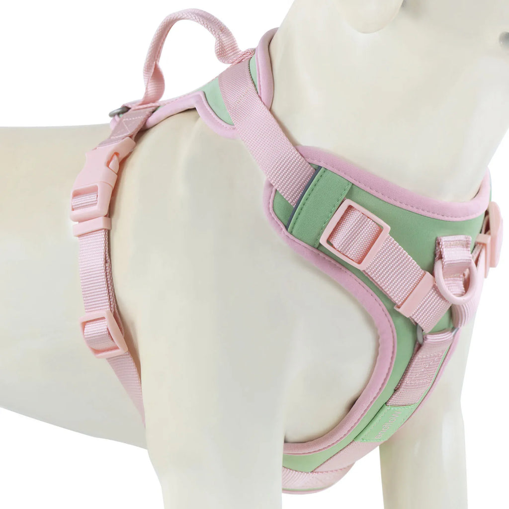 New Chocolate color luxury Dog Harness