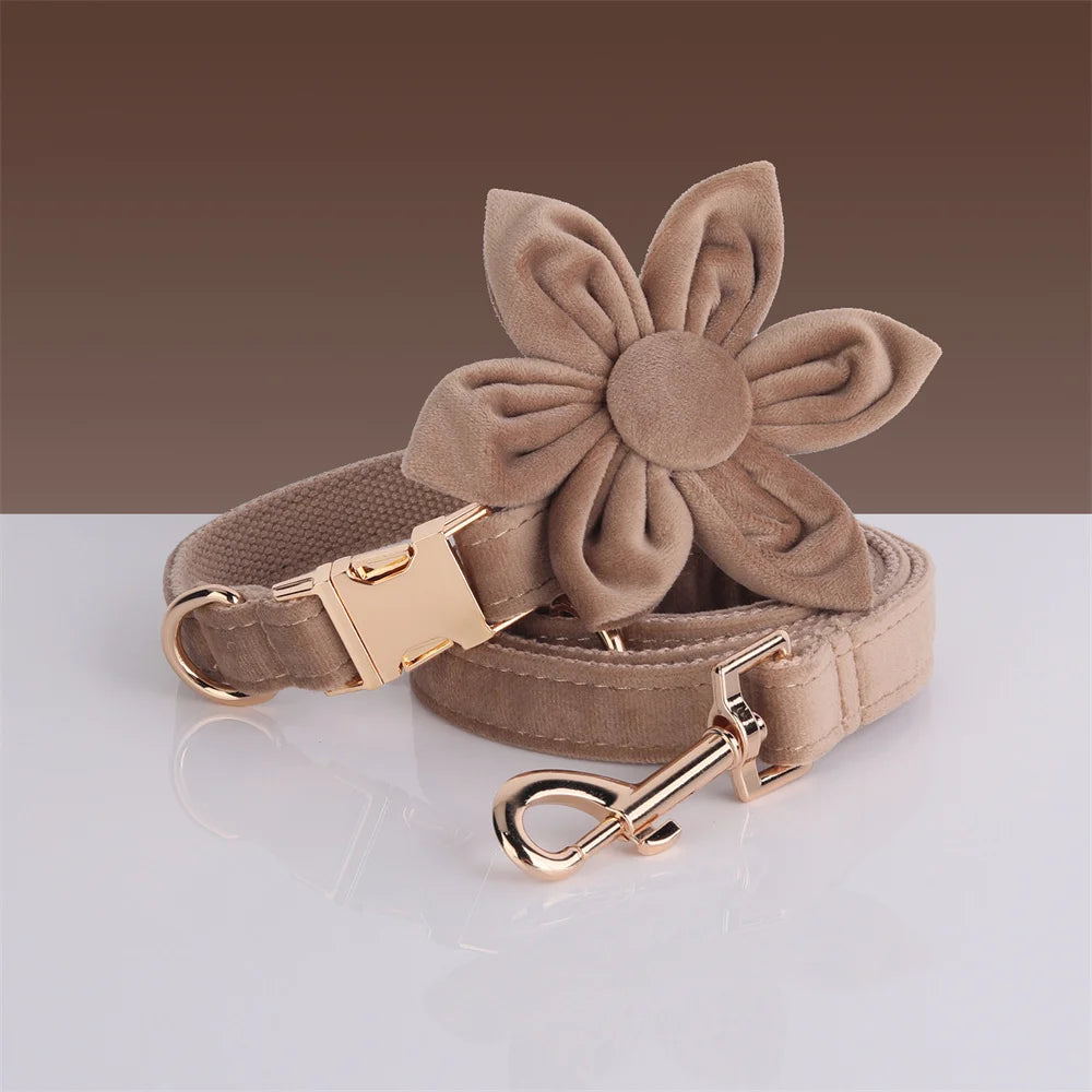 Light Coffee Velvet Harness for Dogs Personalized