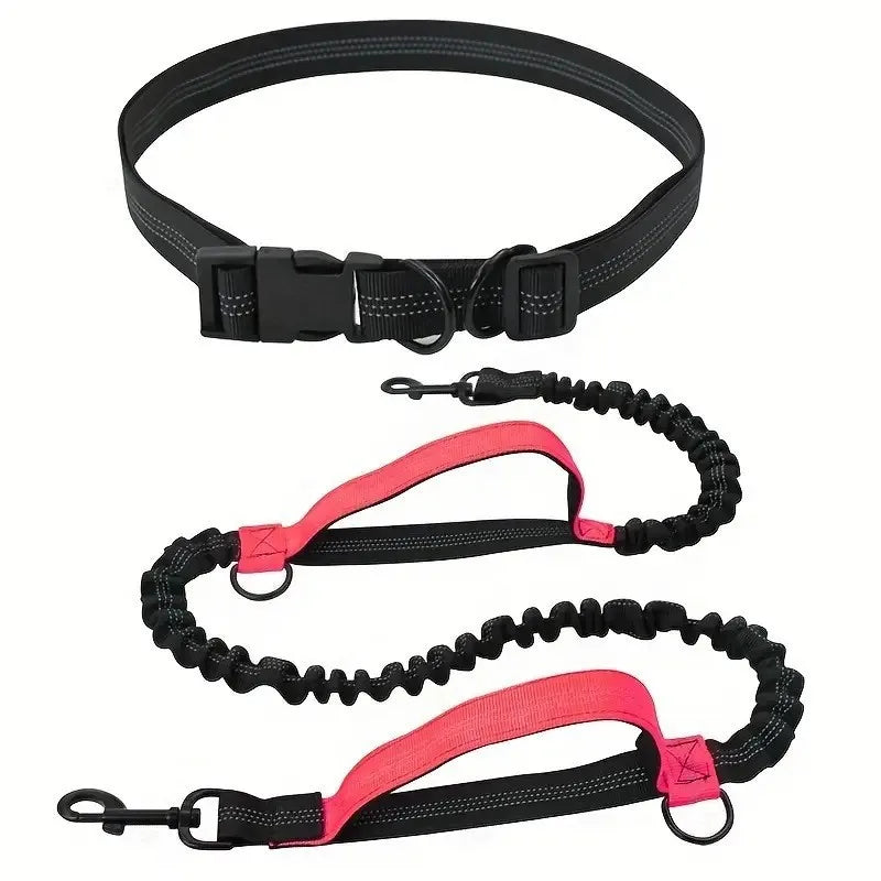 Hands Free Dog Leash