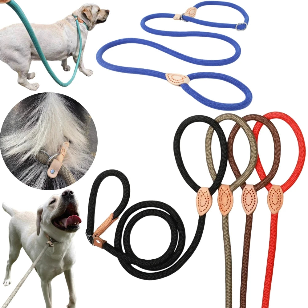 1.5M/1.8M Dog Leash