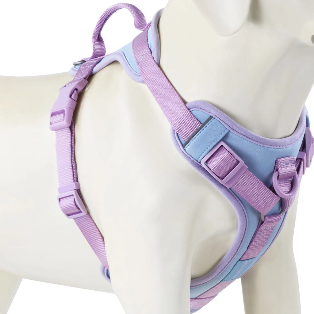 New Chocolate color luxury Dog Harness