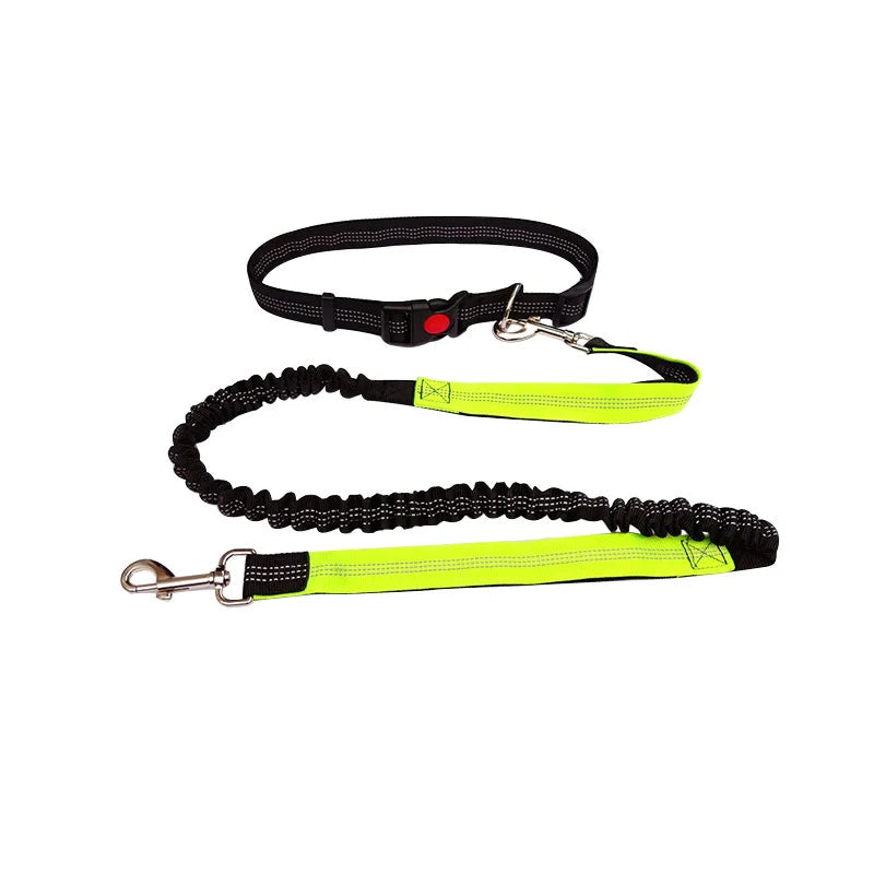 Hand Free Dog Leash  Running