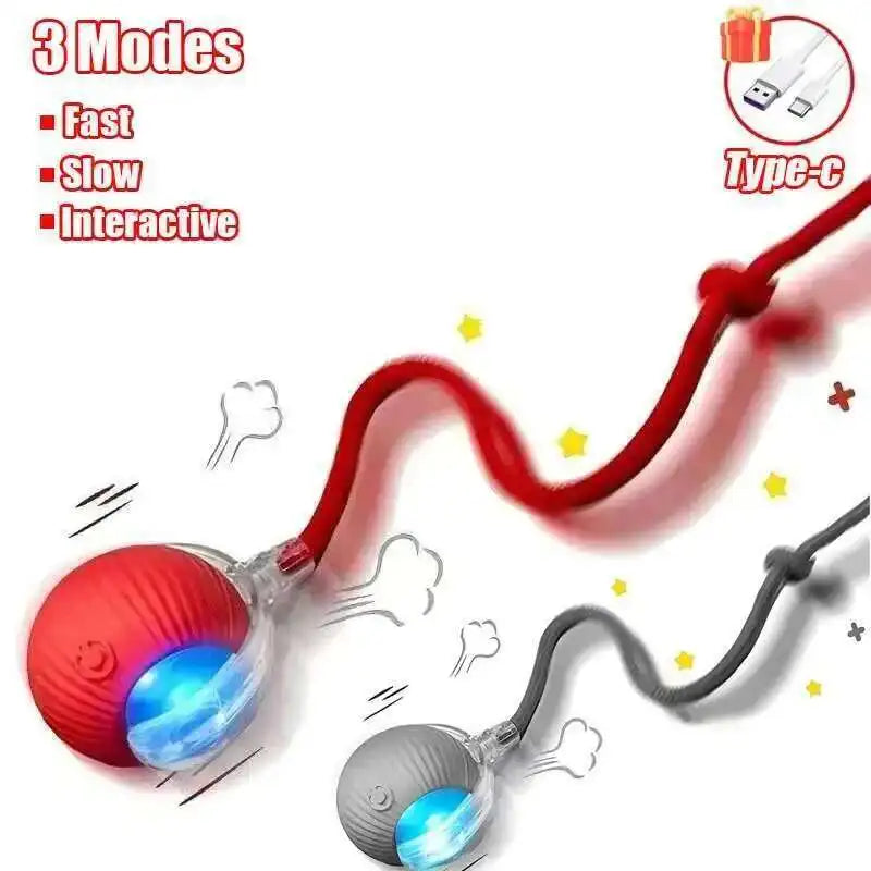Smart Dog Interactive Ball