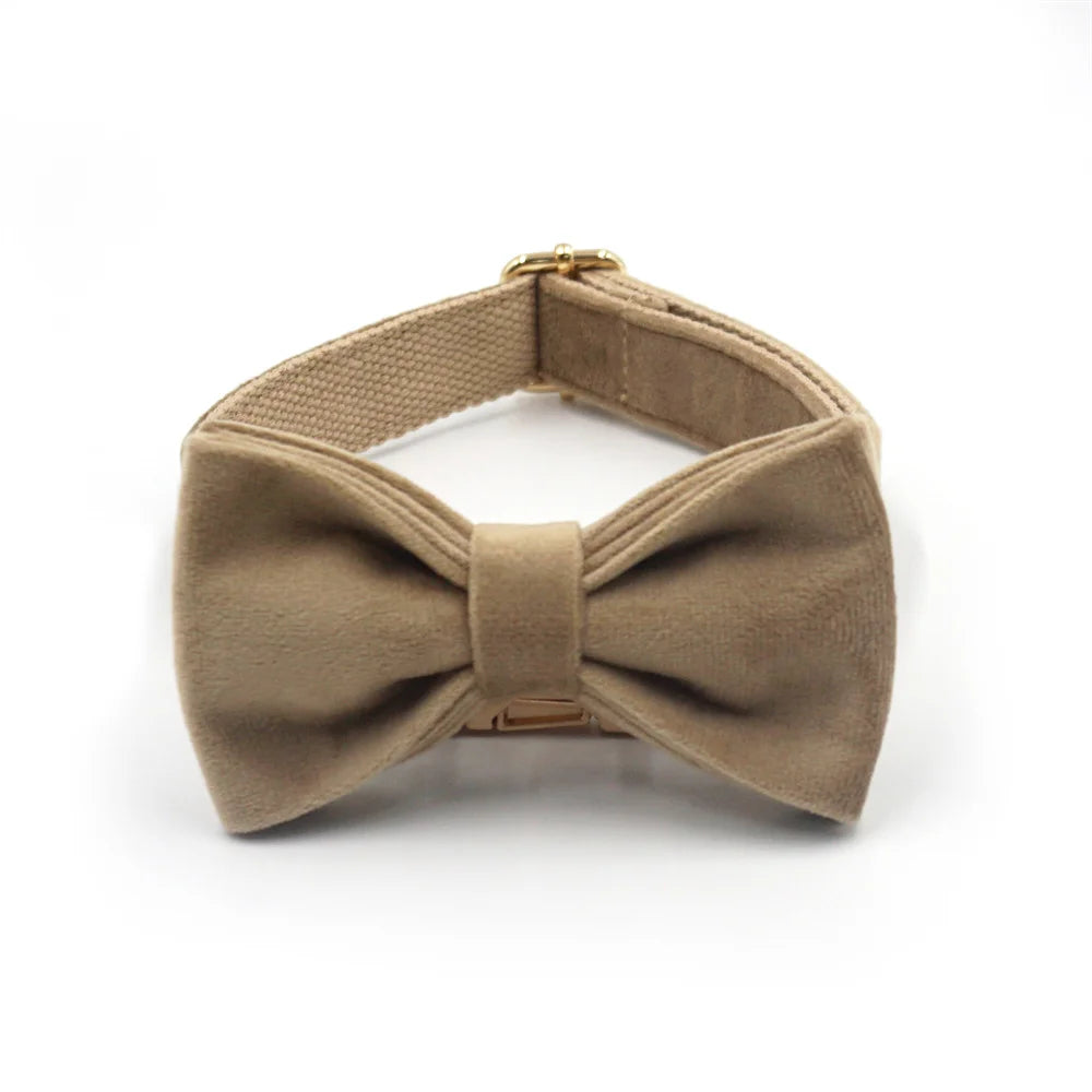 Light Coffee Velvet Harness for Dogs Personalized