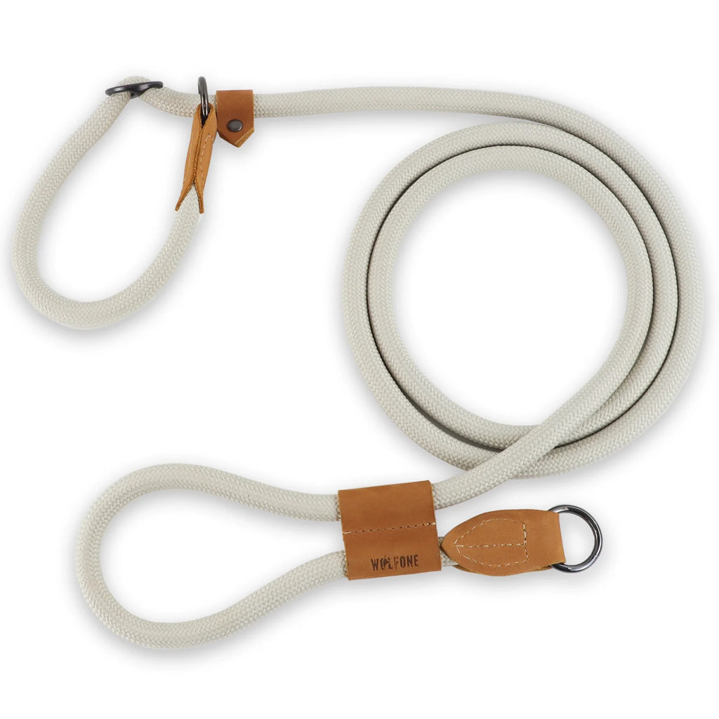 Multi-functional adjustable P-shape dog leash