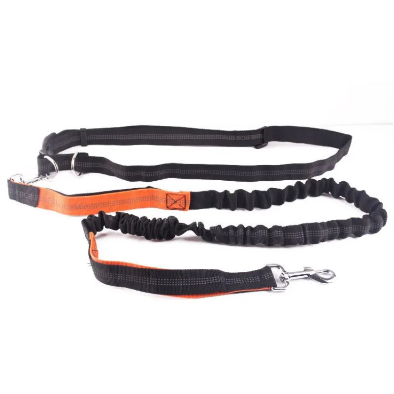 Hand Free Dog Leash  Running
