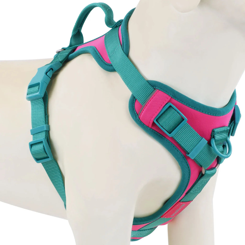 New Chocolate color luxury Dog Harness