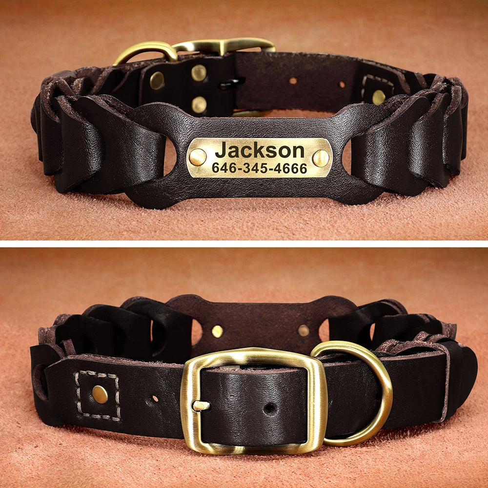 Genuine  Dog Collar Personalized Pet ID