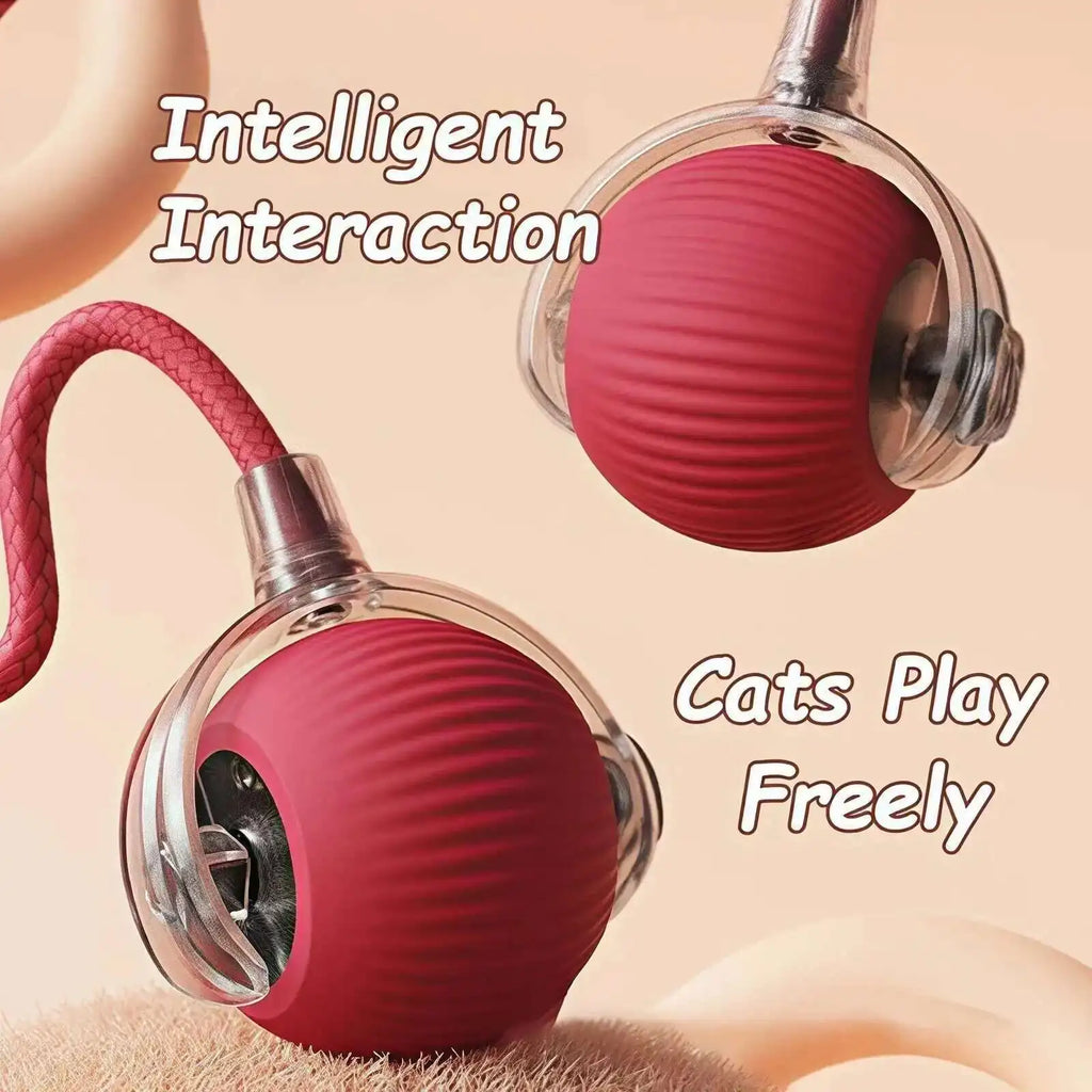 Smart Dog Interactive Ball