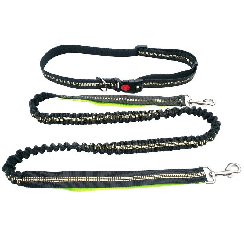 Hand Free Dog Leash  Running