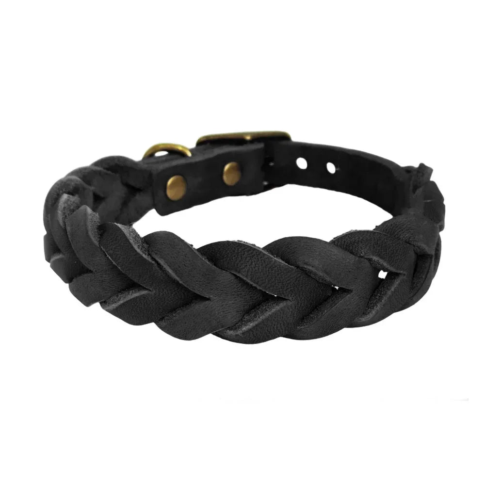 Dog Collars Luxury