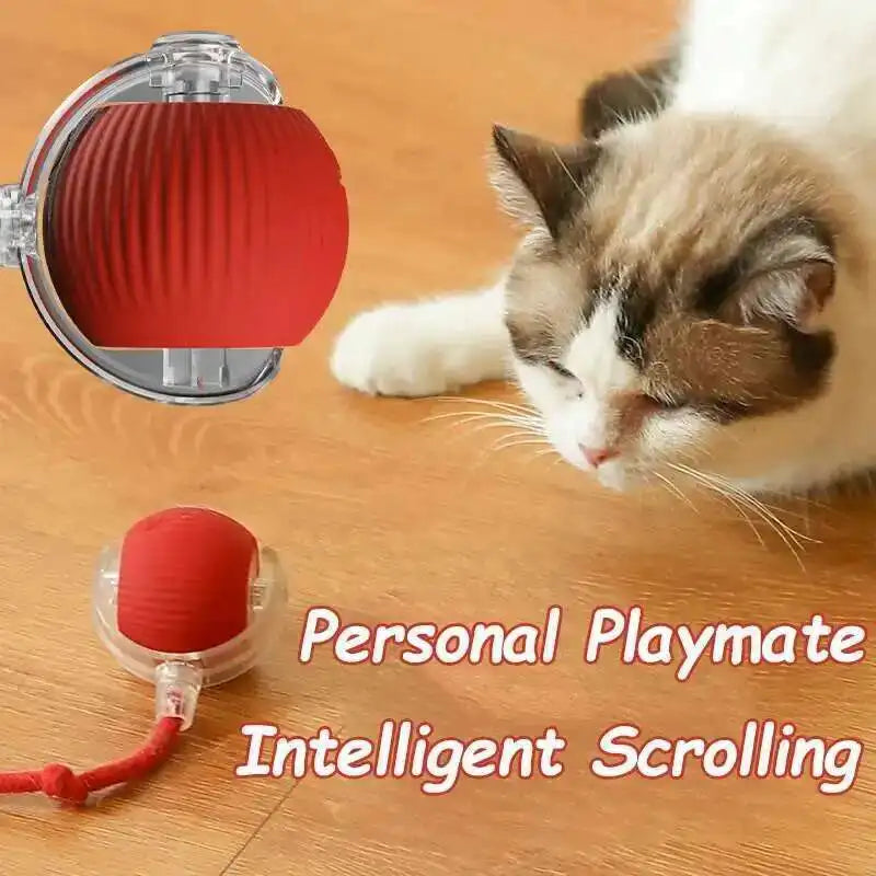 Smart Dog Interactive Ball