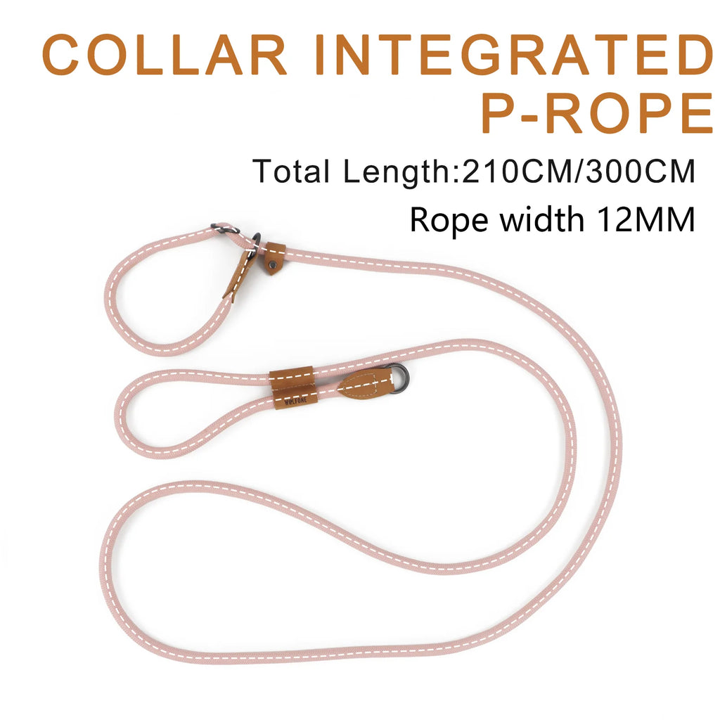Multi-functional adjustable P-shape dog leash
