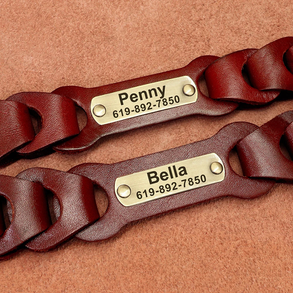 Genuine  Dog Collar Personalized Pet ID