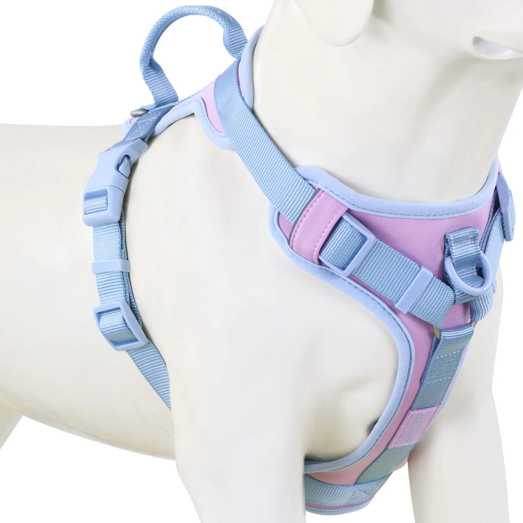 New Chocolate color luxury Dog Harness