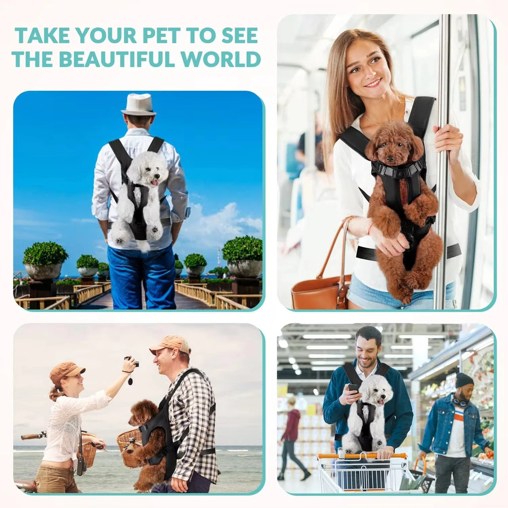 Dogs Carrier Backpack