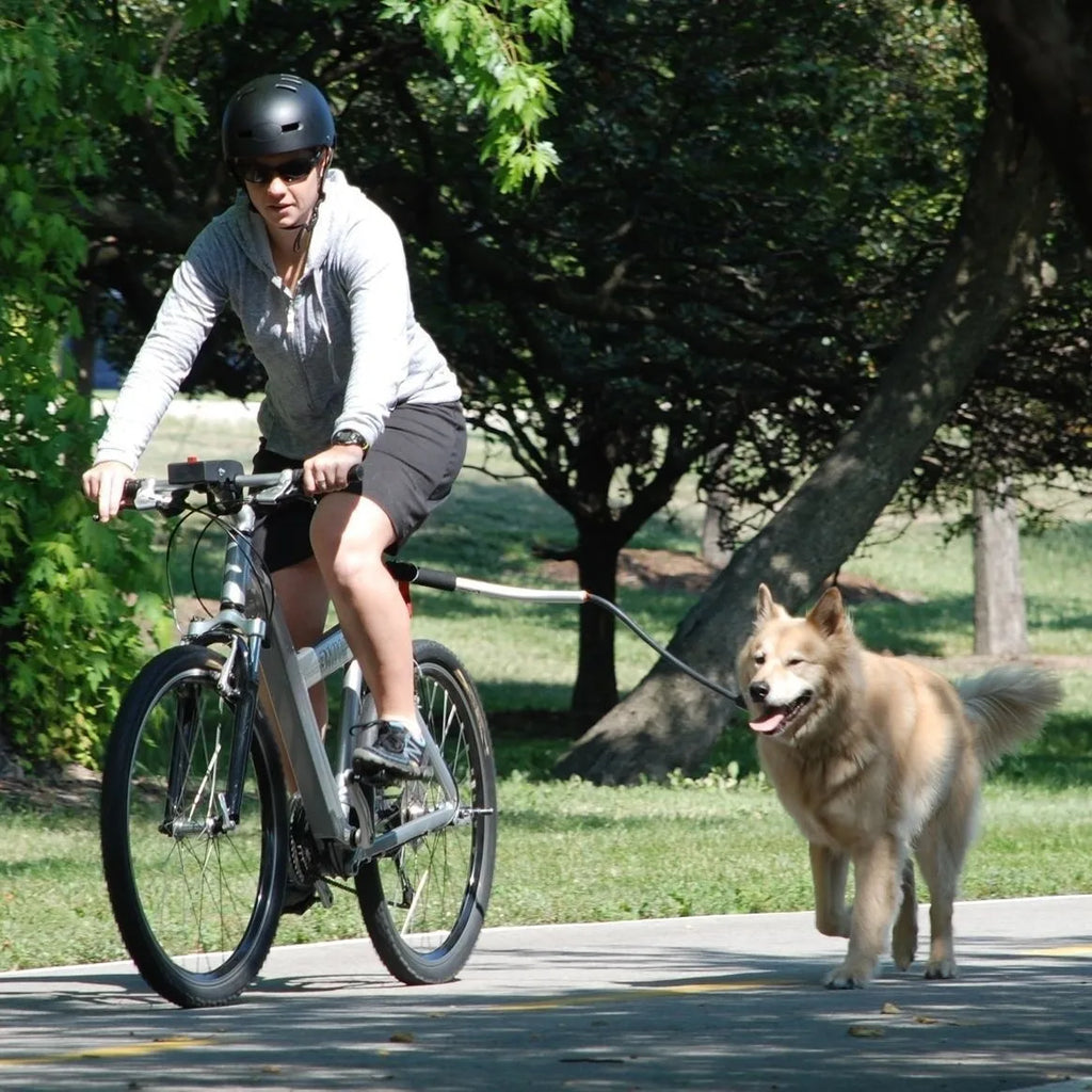 Hands Free Dog Bike Leash