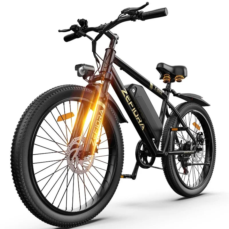 500W Adult Electric Bike