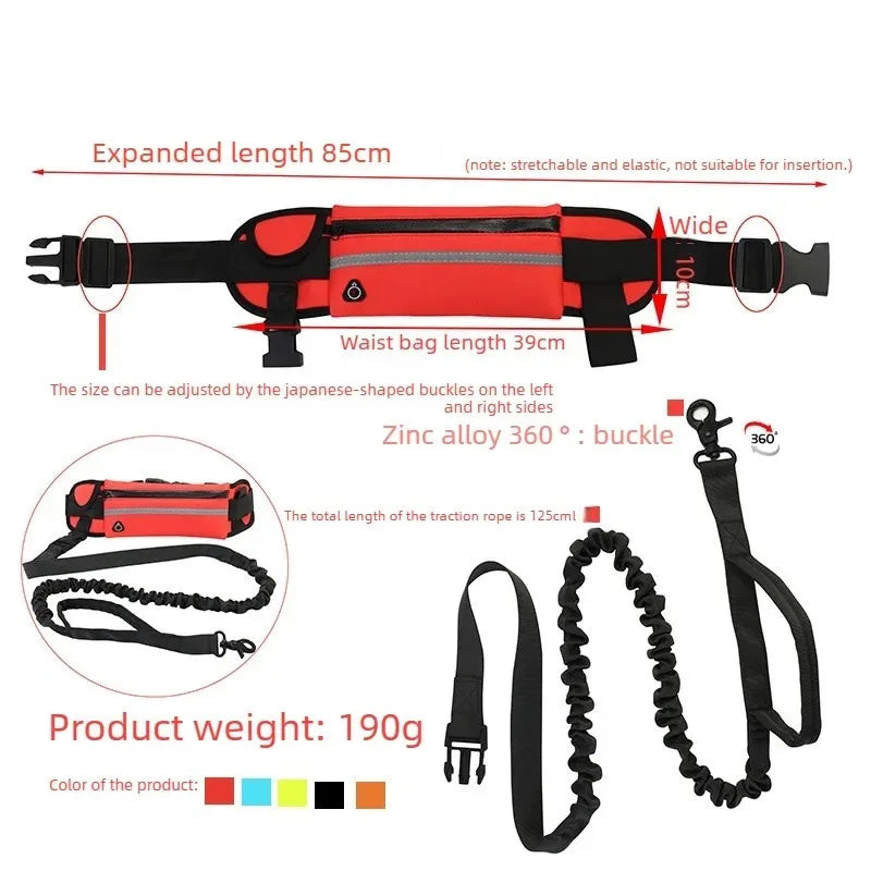 Hands Free Dog Leash