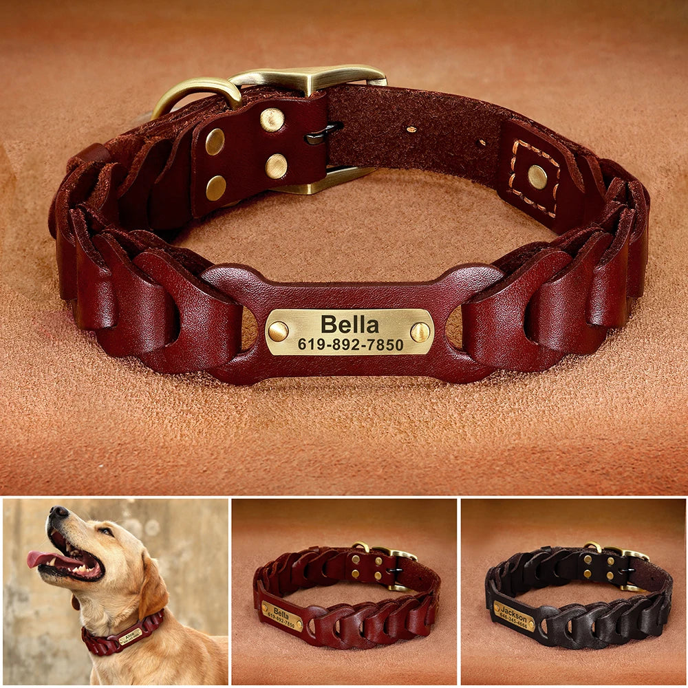 Genuine  Dog Collar Personalized Pet ID