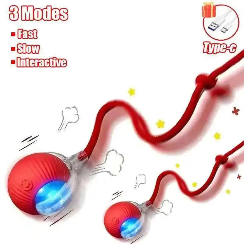 Smart Dog Interactive Ball