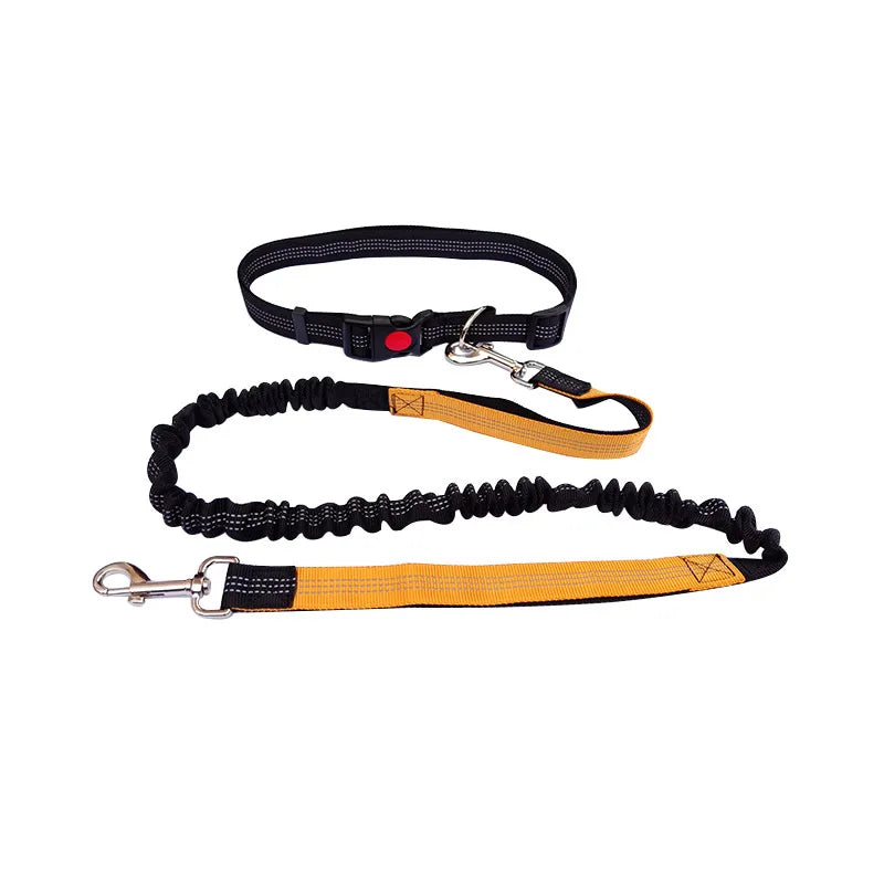 Hand Free Dog Leash  Running