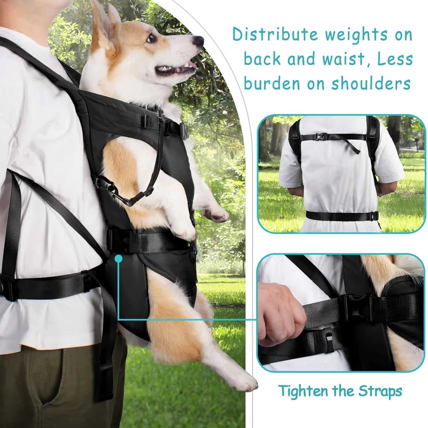 Dogs Carrier Backpack