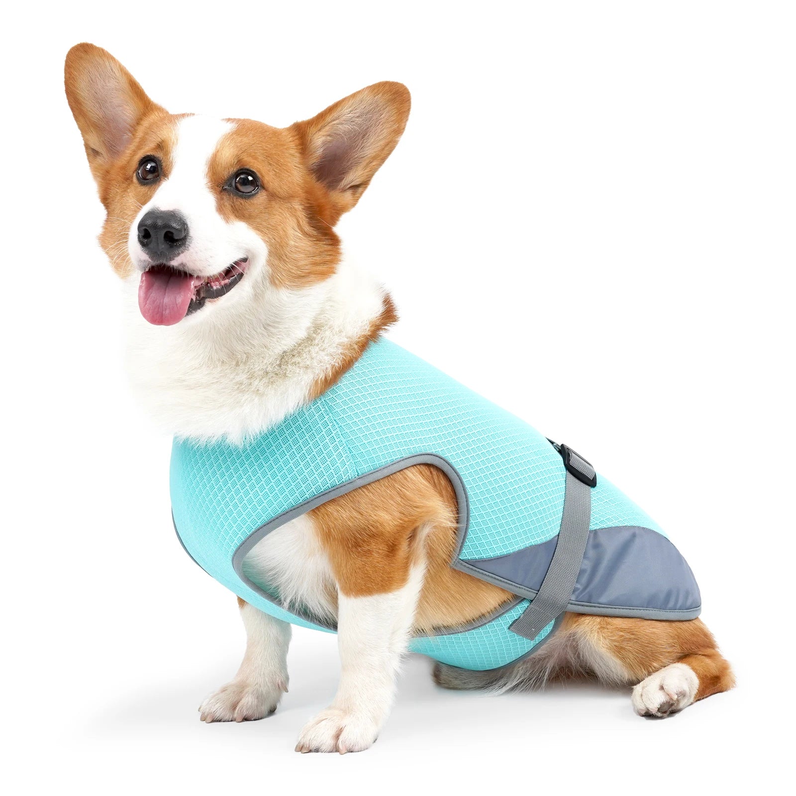 Cooling Vest - Breathable Dog Vest for Hot Summer Days