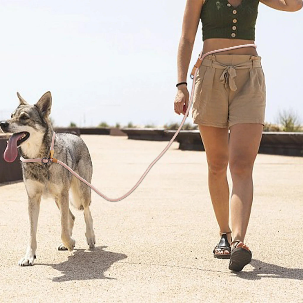 Multi-functional adjustable P-shape dog leash