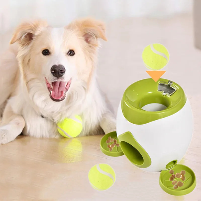 Automatic Ball Launcher