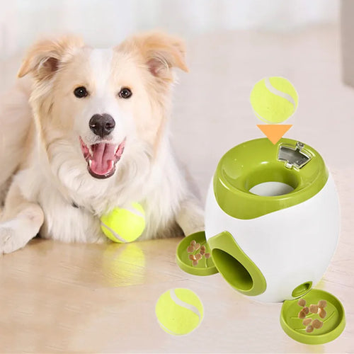 Automatic Ball Launcher